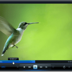 Top Video Players for Windows