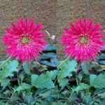 How To Optimize Images For Your Blog with Photoshop