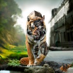 Top 10 FREE Windows Desktop Wallpaper