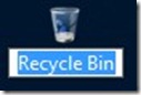 hide the text of desktop icons in windows